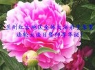 ֹ,󷨵ӹ編ִʦ𻪵(18)