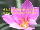 ֹ,󷨵ӹ編ִʦ𻪵(18)