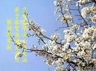 ֹ,󷨵ӹ編ִʦ𻪵(18)