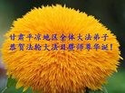 ֹ,󷨵ӹ編ִʦ𻪵(18)
