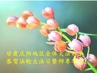 ֹ,󷨵ӹ編ִʦ𻪵(18)