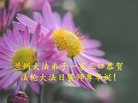 ֹ,󷨵ӹ編ִʦ𻪵(19)