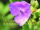 ֹ,󷨵ӹ編ִʦ𻪵(19)