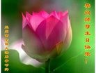 ֹ,󷨵ӹ編ִʦ𻪵(22)