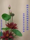 ֹ,ʡ󷨵ӹ編ִʦ𻪵(20)