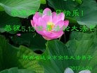 ֹ,󷨵ӹ編ִʦ𻪵(24)