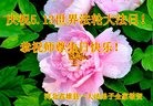 ֹ,󷨵ӹ編ִʦ𻪵(19)