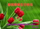 ֹ,ɹŴ󷨵ӹ編ִʦ𻪵(21)