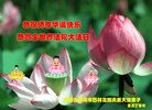 ֹ,ɹŴ󷨵ӹ編ִʦ𻪵(21)