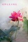 ֹ,󷨵ӹ編ִʦ𻪵(20)