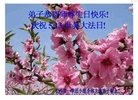 ֹ,ɳ󷨵ӹ編ִʦ𻪵(21)