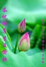 ֹ,󷨵ӹ編ִʦ𻪵(20)