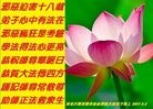 ֹ,ʯׯ󷨵ӹ編ִʦ𻪵(23)
