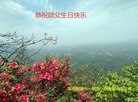 ֹ,ϴ󷨵ӹ編ִʦ𻪵(24)