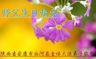 ֹ,󷨵ӹ編ִʦ𻪵(20)