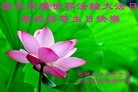 ֹ,ɹŴ󷨵ӹ編ִʦ𻪵(23)