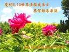 ֹ,󷨵ӹ編ִʦ𻪵(24)