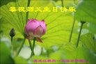 ֹ,󷨵ӹ編ִʦ𻪵(26)