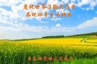 ֹ,󷨵ӹ編ִʦ𻪵(20)