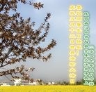 ֹ,󷨵ӹ編ִʦ𻪵(20)