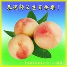 ֹ,ൺ󷨵ӹ編ִʦ𻪵(22)