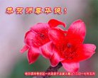 ֹ,󷨵ӹ編ִʦ𻪵(20)