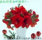ֹ,󷨵ӹ編ִʦ𻪵(24)