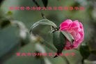 ֹ,󷨵ӹ編ִʦ𻪵(22)