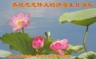ֹ,д󷨵ӹ編ִʦ𻪵(19)