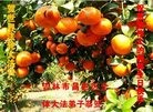 ֹ,д󷨵ӹ編ִʦ𻪵(19)