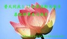 ֹ,󷨵ӹ編ִʦ𻪵(20)