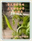 ֹ,Ĵ󷨵ӹ編ִʦ𻪵(23)