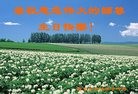 ֹ,󷨵ӹ編ִʦ𻪵(21)