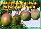 ֹ,󷨵ӹ編ִʦ𻪵(26)