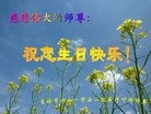 ֹ,д󷨵ӹ編ִʦ𻪵(19)