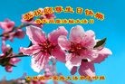 ֹ,ʡ󷨵ӹ編ִʦ𻪵(22)