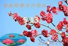 ֹ,󷨵ӹ編ִʦ𻪵(24)