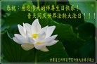 ֹ,󷨵ӹ編ִʦ𻪵(21)