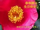 ֹ,ɳ󷨵ӹ編ִʦ𻪵(23)