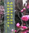 ֹ,д󷨵ӹ編ִʦ𻪵(20)
