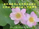 ֹ,ݴ󷨵ӹ編ִʦ𻪵(22)
