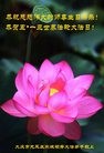 ֹ,󷨵ӹ編ִʦ𻪵(26)