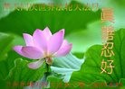 ֹ,󷨵ӹ編ִʦ𻪵(21)