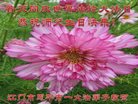 ֹ,㶫󷨵ӹ編ִʦ𻪵(23)