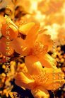 ֹ,㶫󷨵ӹ編ִʦ𻪵(23)