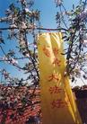 'Falun Dafa is great', Truth-Clarifying banners appear in a village in Heilongjiang Province in Ausgust 2004