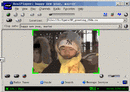 Published on 2/14/2002 (2/14/02): Screen Capture to obtain the AVI document, so far is the best method:1)quick speed 2)high quality 3)very few side effect 4)suitable with each kind of ingenious software 5)However, the camtasia shortcoming is some body has to be standby the computer, and stop the video recording at the conclusing point to avoid unlimitedly recording to exhaust the hard disk space. 