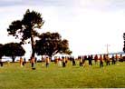 Published on 7/14/2000 To promote Falun Dafa in New Zealand, practitioners held a varity of activities. They were practiticing exercise at a New Zealand beach. 
