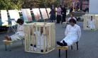 Published on 11/13/2005 Korea: Practitioners Expose the Persecution as APEC Convenes (Photos)
