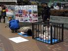 Published on 2/4/2005 Photo Report: Practitioners in Japan Continue to Hold Anti-torture Exhibitions Despite Harsh Weather